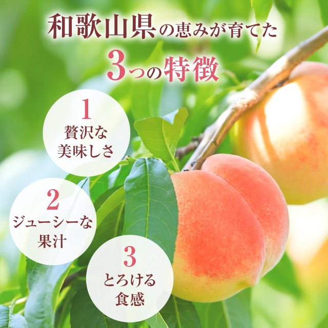 Amazon.co.jp: 【2026年発送】【トクベツな寄附額】紀の里の桃 約1.9kg